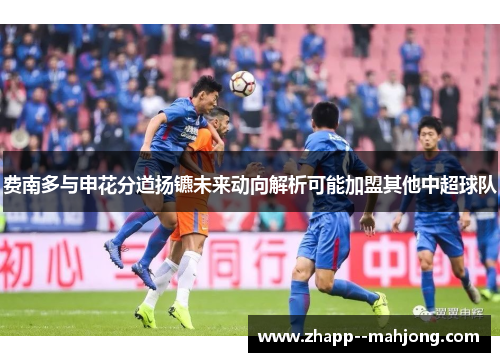 费南多与申花分道扬镳未来动向解析可能加盟其他中超球队