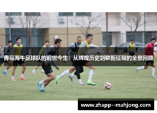 青岛海牛足球队的前世今生：从辉煌历史到崭新征程的全景回顾