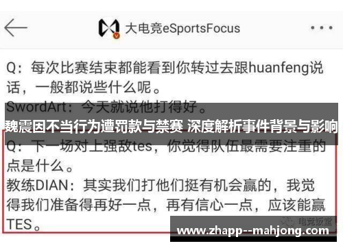 魏震因不当行为遭罚款与禁赛 深度解析事件背景与影响