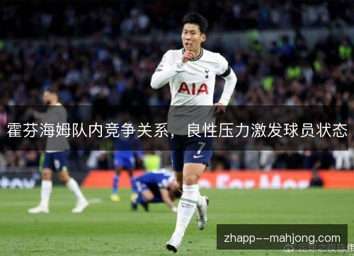 霍芬海姆队内竞争关系，良性压力激发球员状态